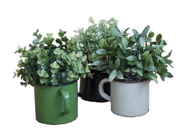 Plant in emaille pot