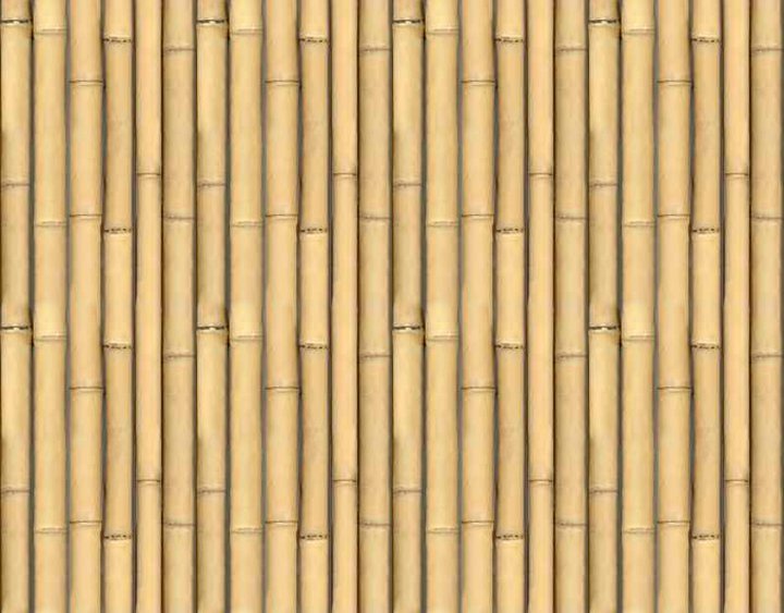 Gronden Hoofdstraat vruchten Wand bamboe - JAN Verhuur