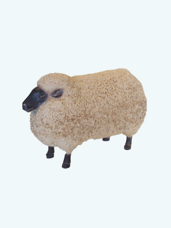 Schaap
